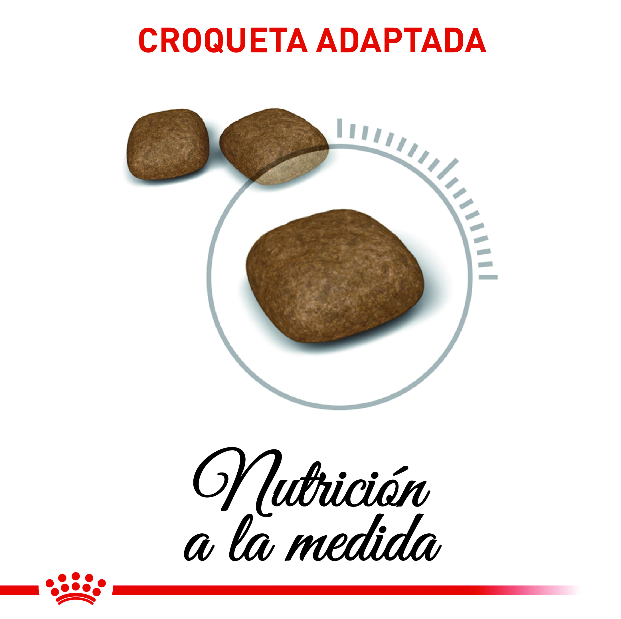 royal-canin-urinary-care-cat
