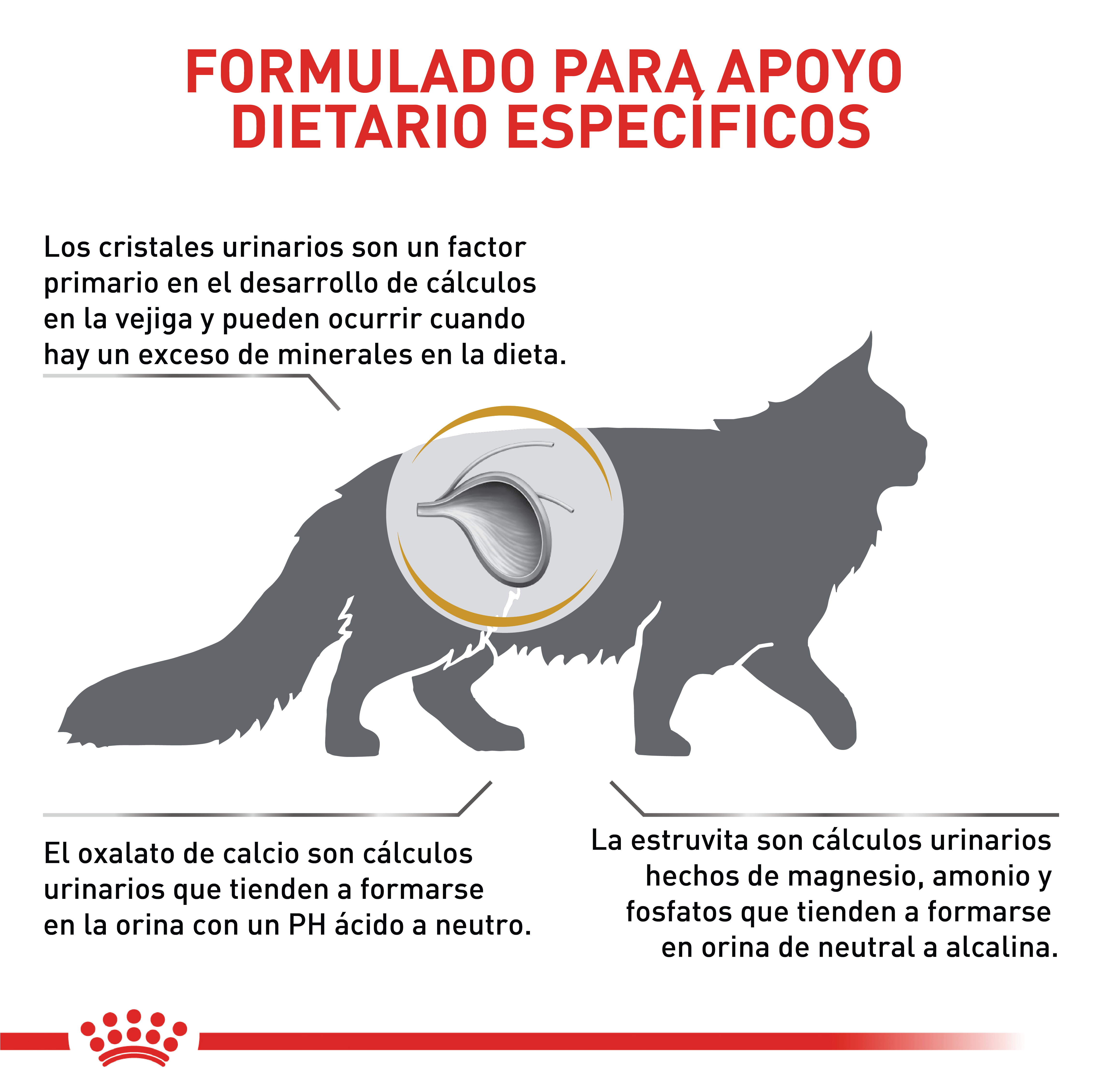 royal-canin-urinary-so-cat