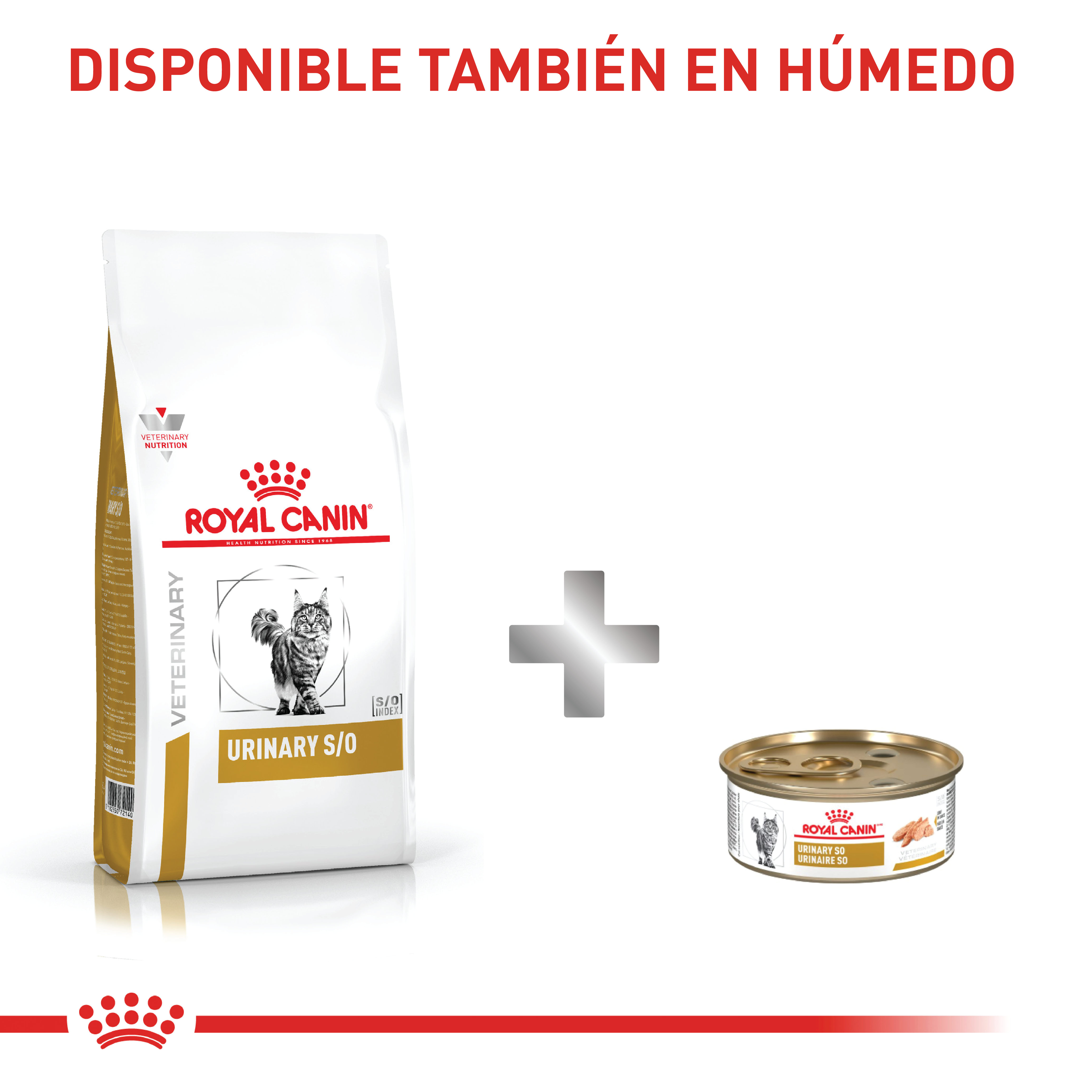 royal-canin-urinary-so-cat