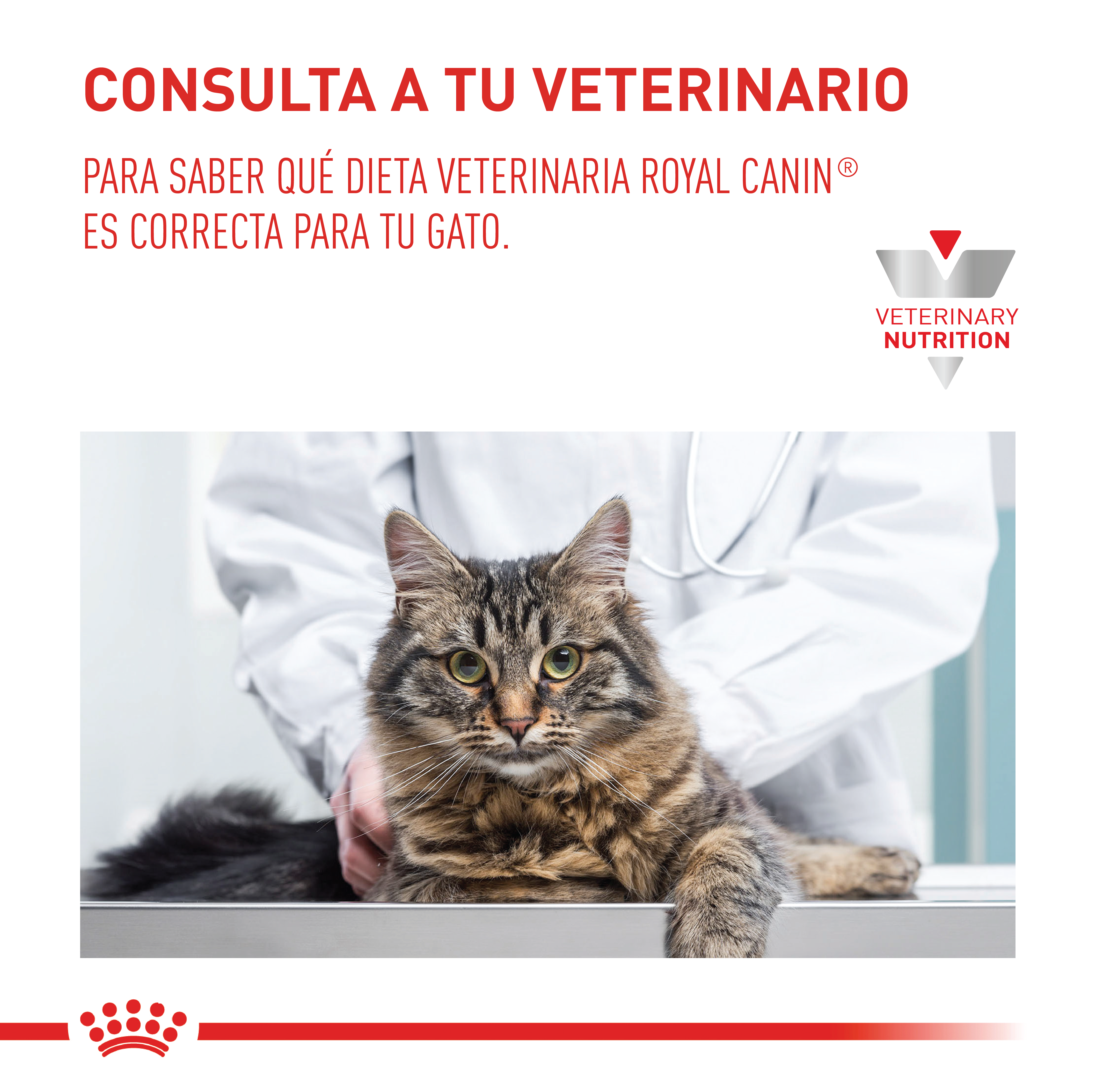 royal-canin-urinary-so-cat