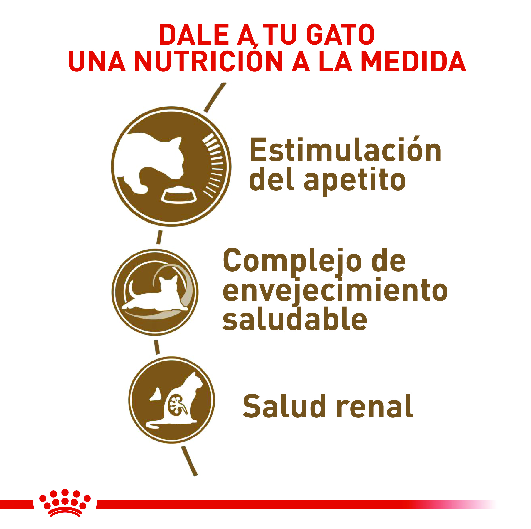 royal-canin-ageing-12