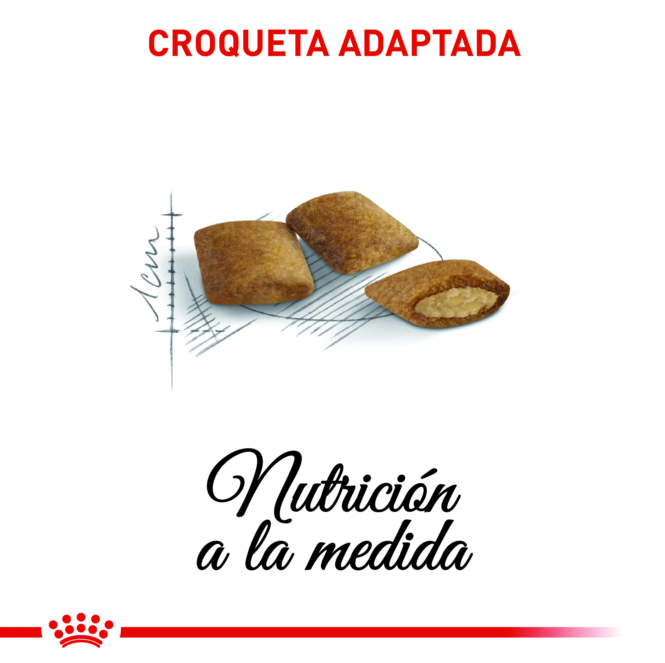 royal-canin-ageing-12