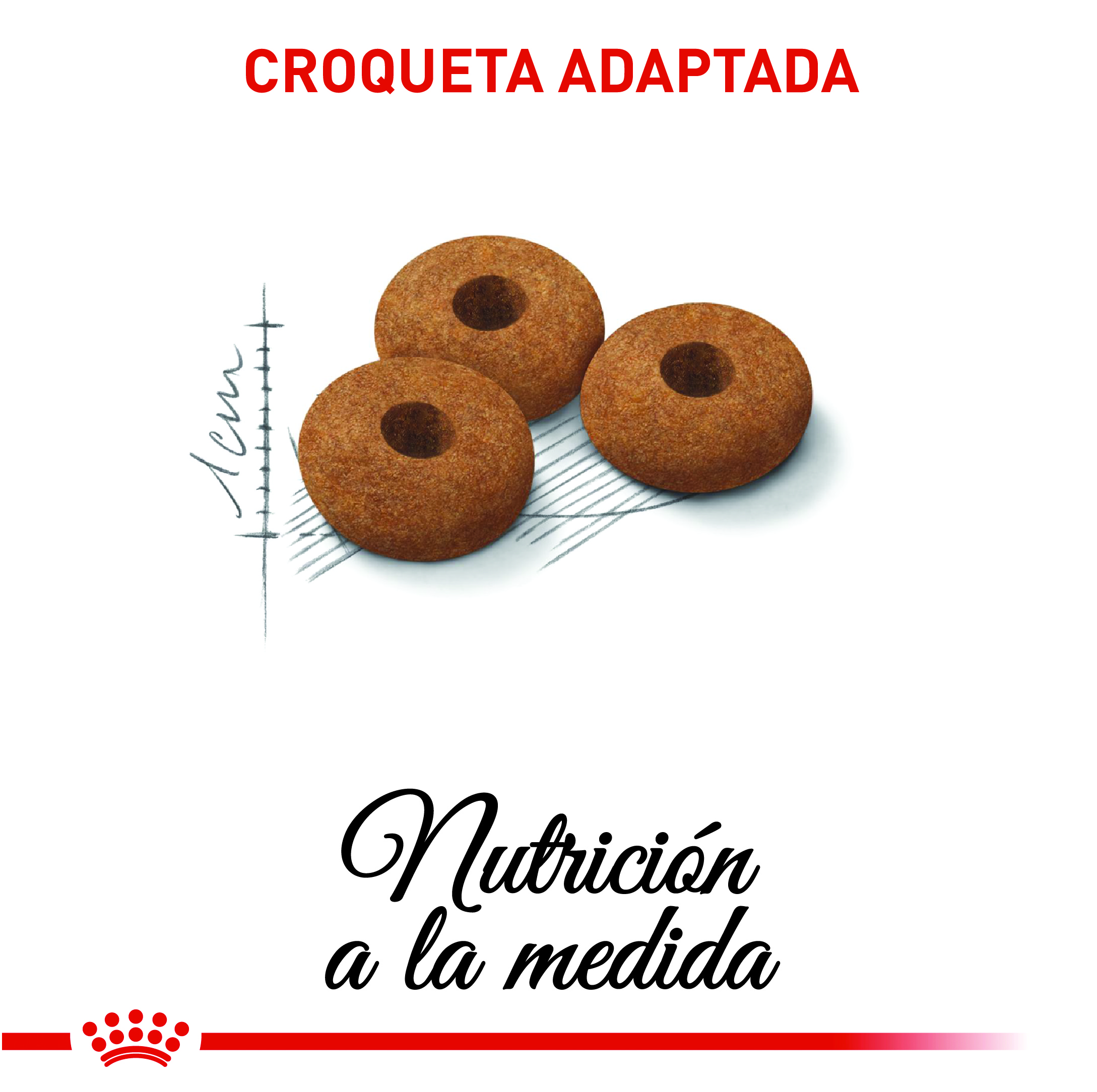 royal-canin-appetite-control-sterilised