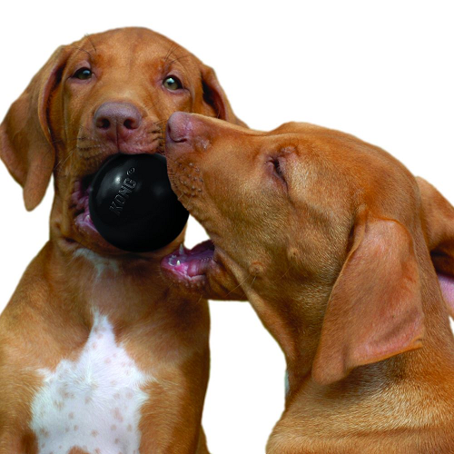 kong-pelota-extreme-medium