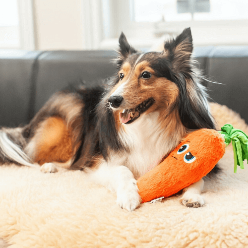 outward-hound-peluche-zanahoria