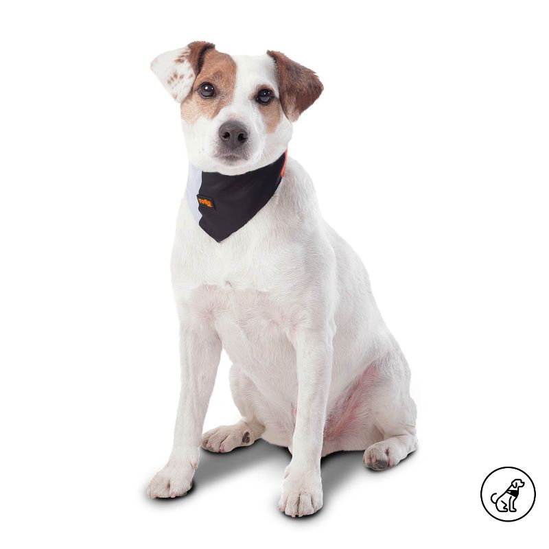 Totto Pets - Pañuelo Menta Doble Faz Gris/Negro