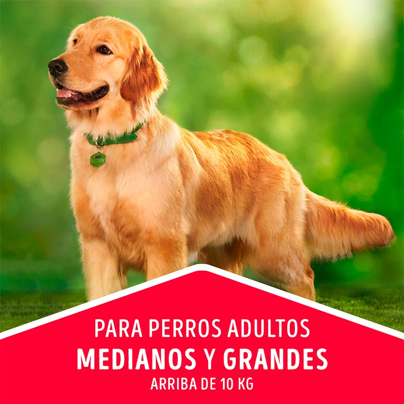 dog-chow-adulto-medianos-y-grandes-carne-y-pollo