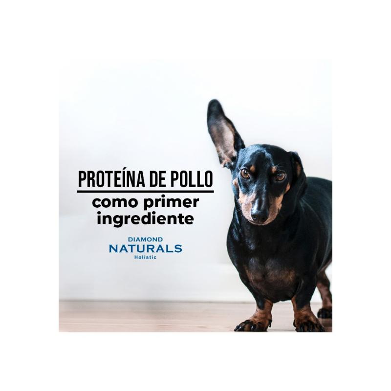 diamond-naturals-small-breed-adult-pollo-y-arroz