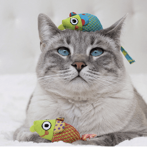 petstages-ratones-con-catnip