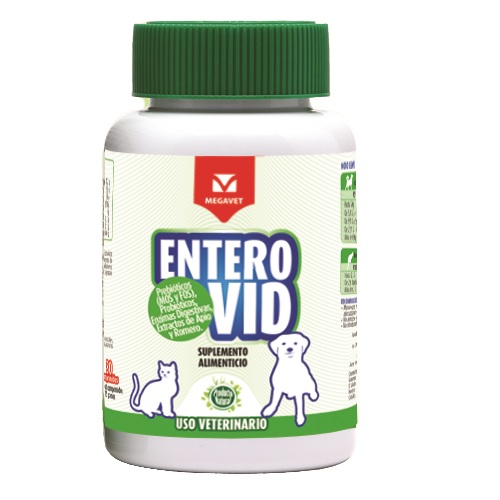 Enterovid, Salud y Equilibrio Intestinal en Gatos