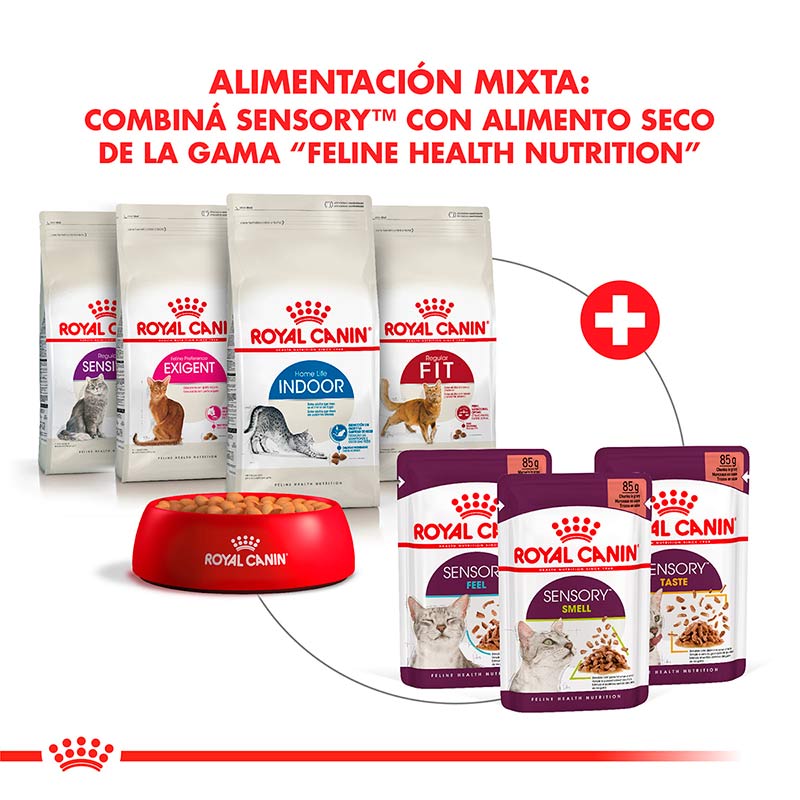 royal-canin-alimento-humedo-para-gato-adulto-sensory-smell