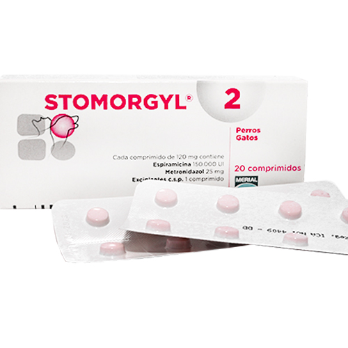 stomorgyl-2