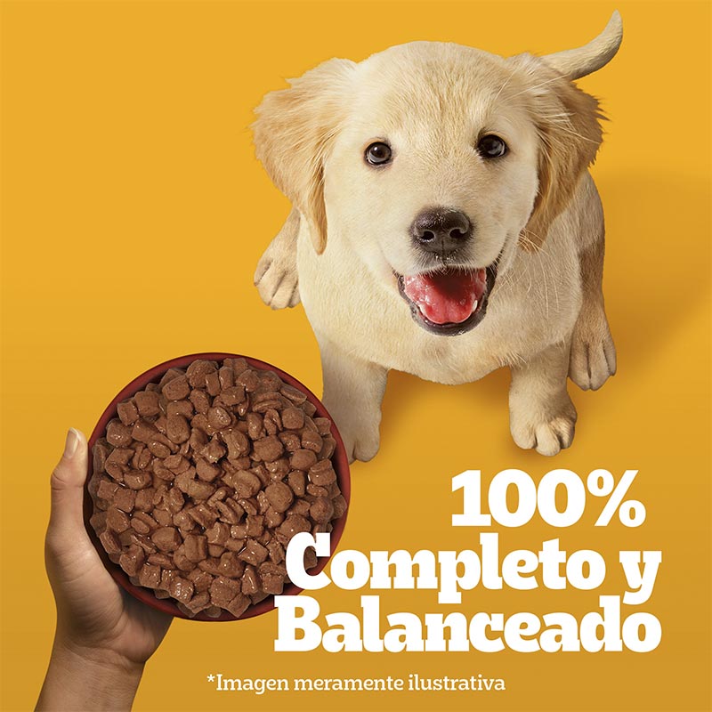 pedigree-alimento-humedo-sobrecito-perro-cachorro-carne