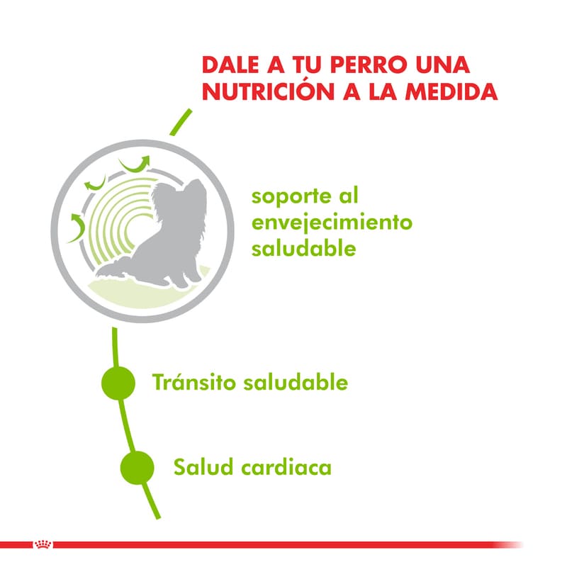 royal-canin-alimento-seco-perro-x-small-ageing-12