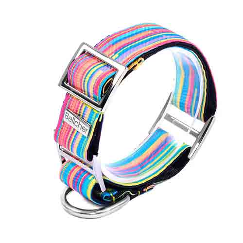 Bellcher - Collar Martingale Coldplay