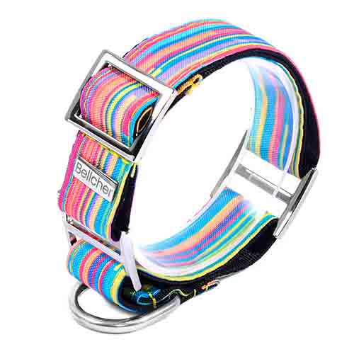 bellcher-collar-martingale-coldplay