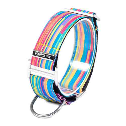 bellcher-collar-martingale-coldplay
