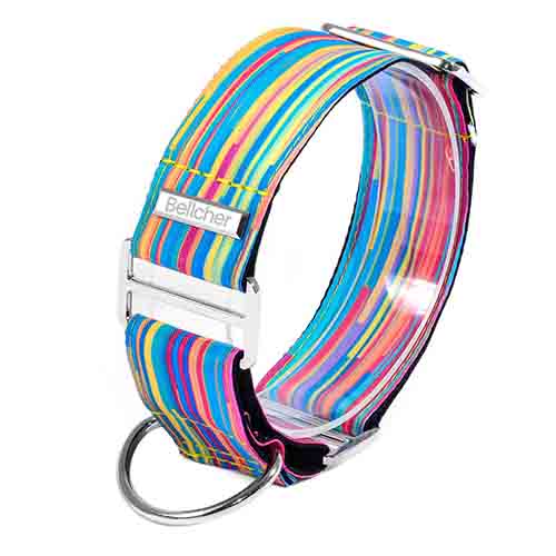 bellcher-collar-martingale-coldplay