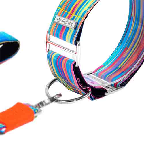 bellcher-collar-martingale-coldplay