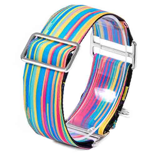 bellcher-collar-martingale-coldplay