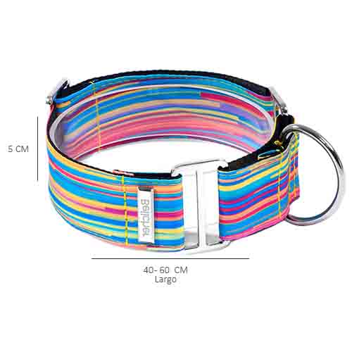 bellcher-collar-martingale-coldplay