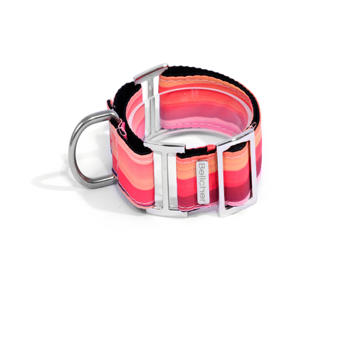 Bellcher - Collar Martingale Desierto Púrpura
