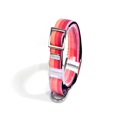 bellcher-collar-martingale-desierto-purpura