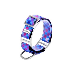 Bellcher - Collar Martingale Escocés Violeta.