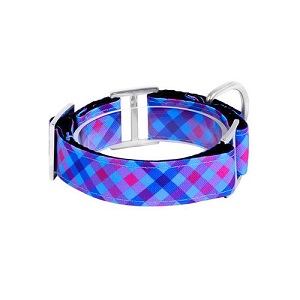 bellcher-collar-martingale-escoces-violeta