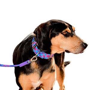 bellcher-collar-martingale-escoces-violeta