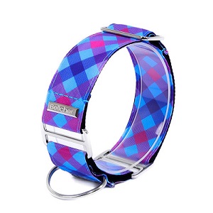 bellcher-collar-martingale-escoces-violeta