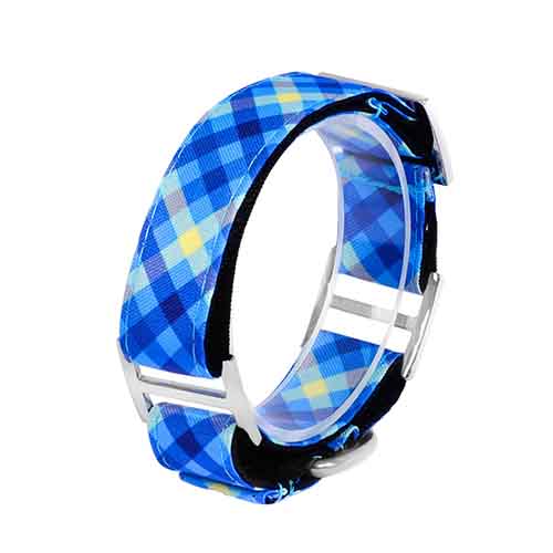 bellcher-collar-martingale-escoces-azul-claro-violeta-entrega-en-3-dias-habiles
