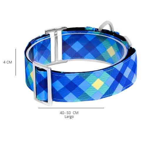 bellcher-collar-martingale-escoces-azul-claro-violeta-entrega-en-3-dias-habiles