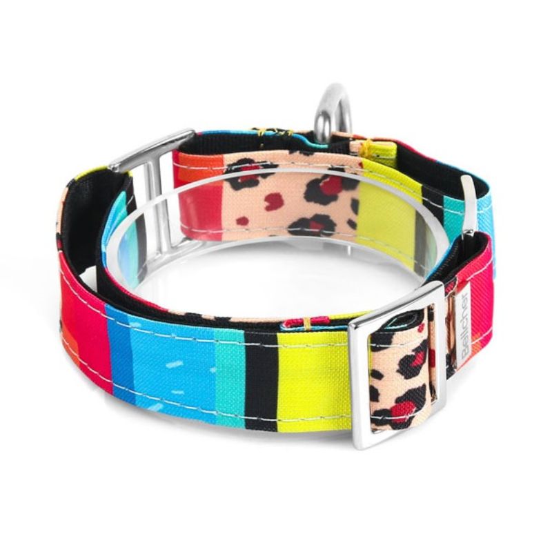 bellcher-collar-martingale-shakai-4-cm