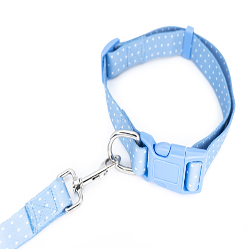 petsmasters-collar-correa-plana-universal