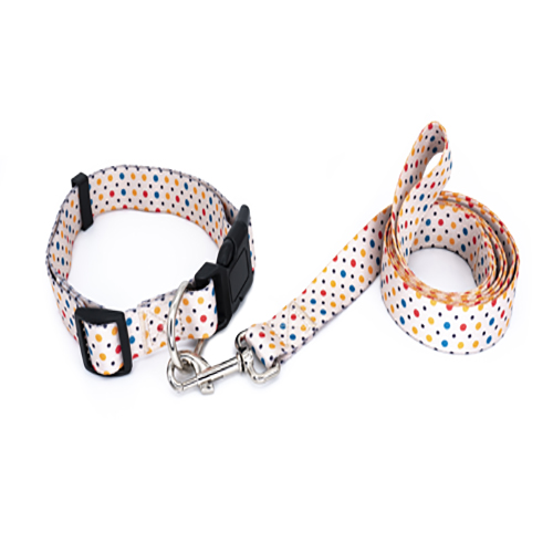 petsmasters-collar-correa-plana-universal