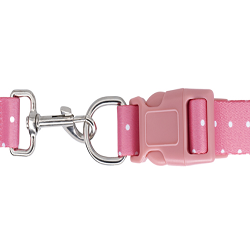 petsmasters-collar-correa-plana-universal