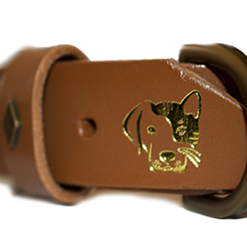PetsMasters -  Collar Person + Dog