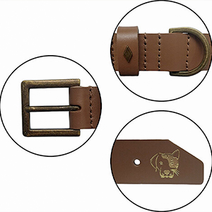 petsmasters-collar-person-dog
