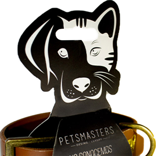 petsmasters-collar-person-dog