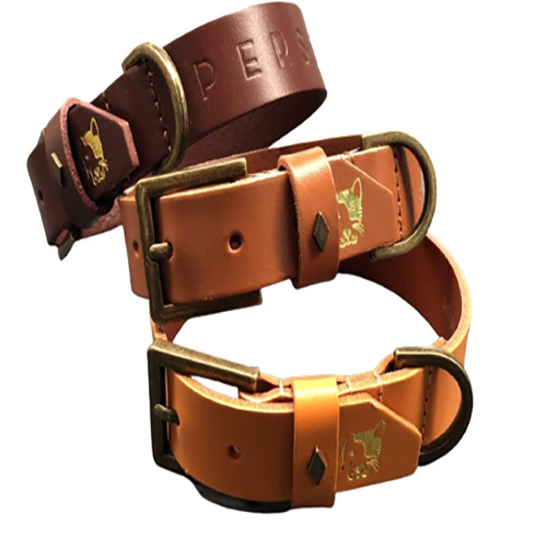 PetsMasters -  Collar Person + Dog