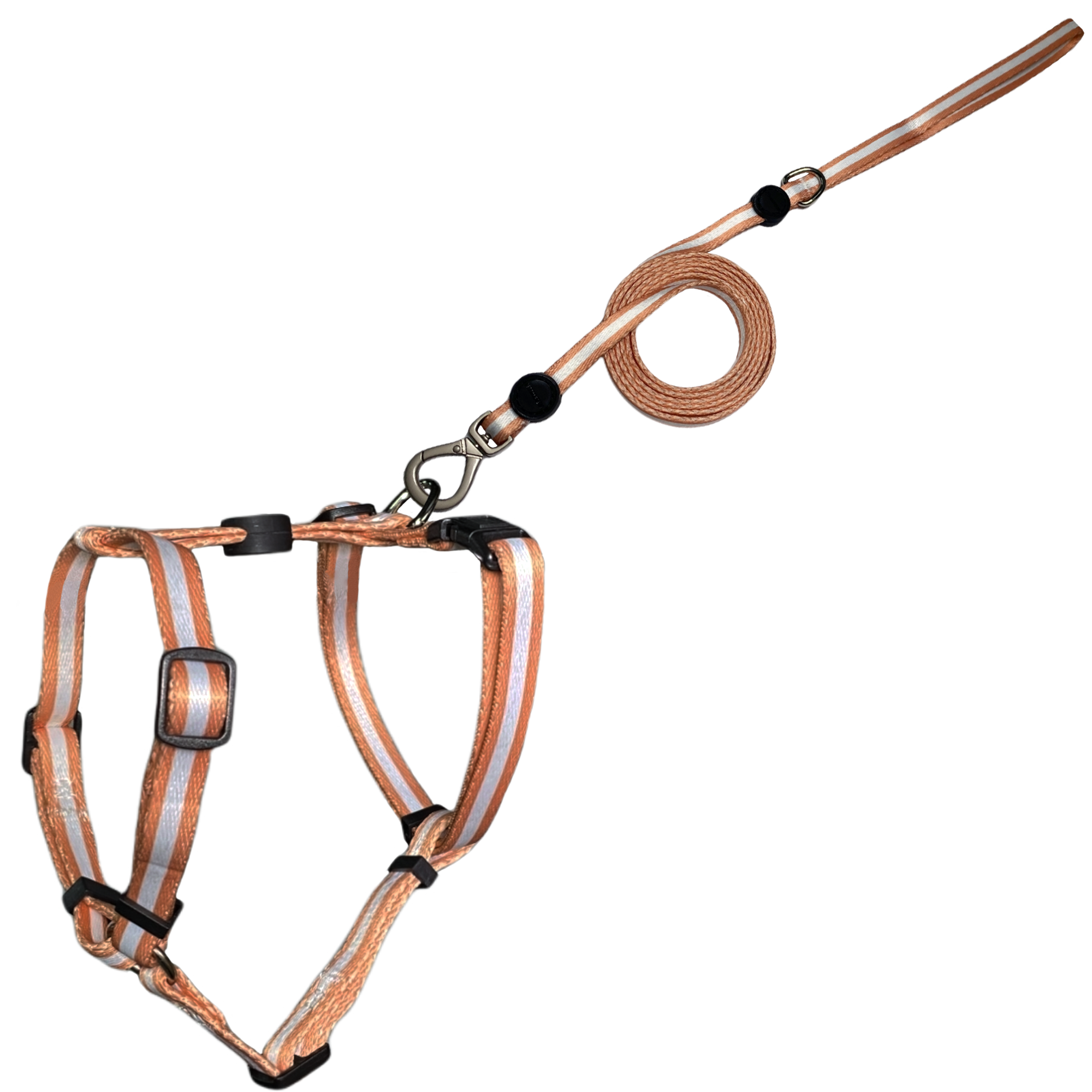 PetsMasters Pechera + Traílla 3 Líneas