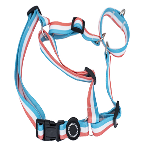 petsmasters-pechera-trailla-3-lineas