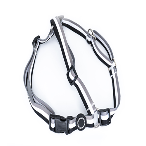 petsmasters-pechera-trailla-3-lineas