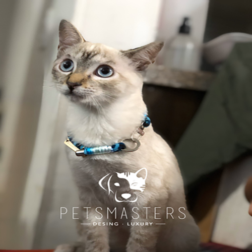 petsmasters-ref-g4-collares-animal-print