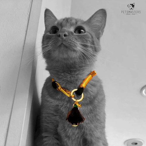 petsmasters-ref-g5-collares