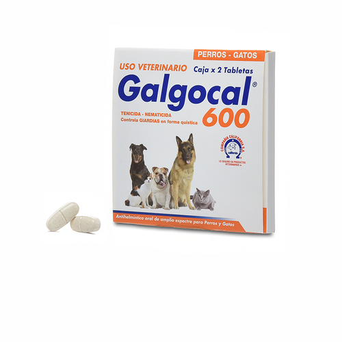 Galgocal