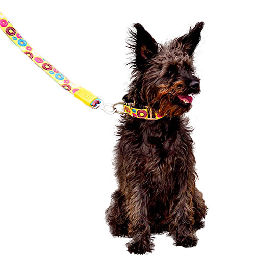 bellcher-collar-martingale-donuts-entrega-en-3-dias-habiles