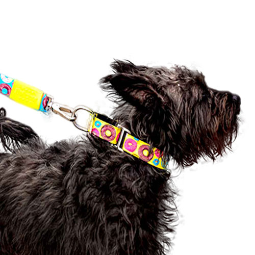 bellcher-collar-martingale-donuts-entrega-en-3-dias-habiles