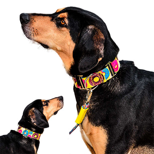 bellcher-collar-martingale-donuts-entrega-en-3-dias-habiles